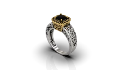 silver with gold ring
