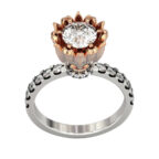 Hollyland ring - Image 12