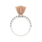 Hollyland ring - Image 13