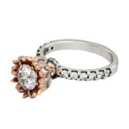 Hollyland ring - Image 9