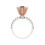 Hollyland ring - Image 6