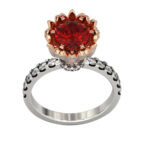 Hollyland Ring